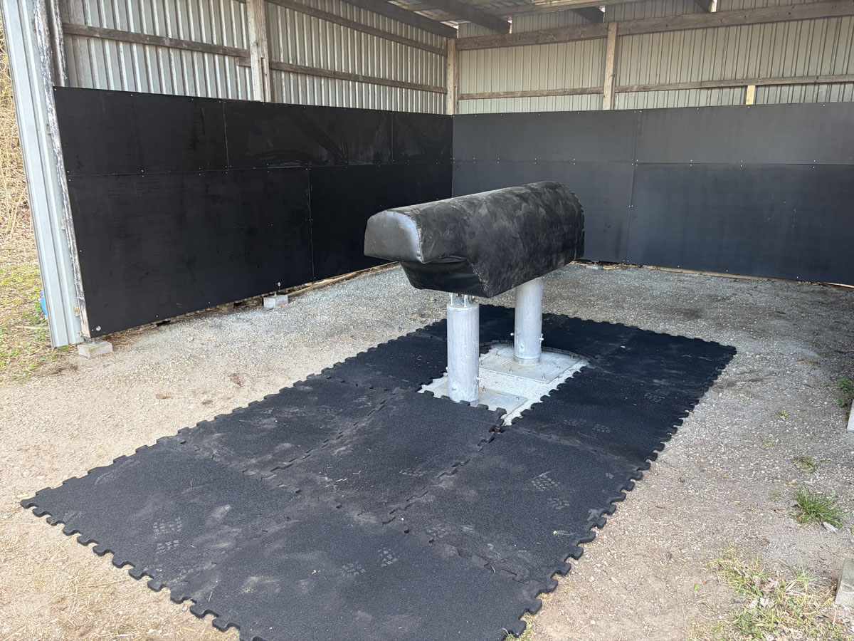 Phantom mare in collection area