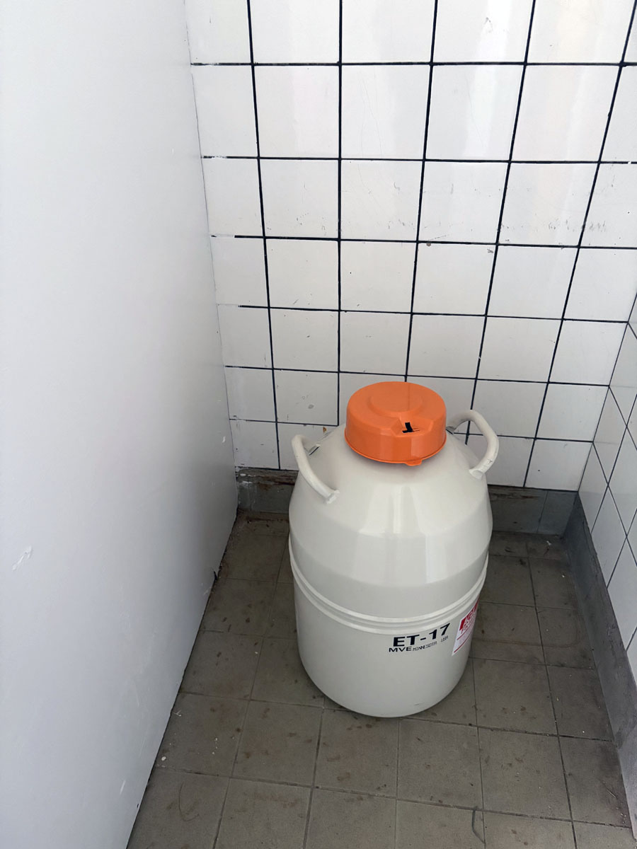 Frozen semen storage